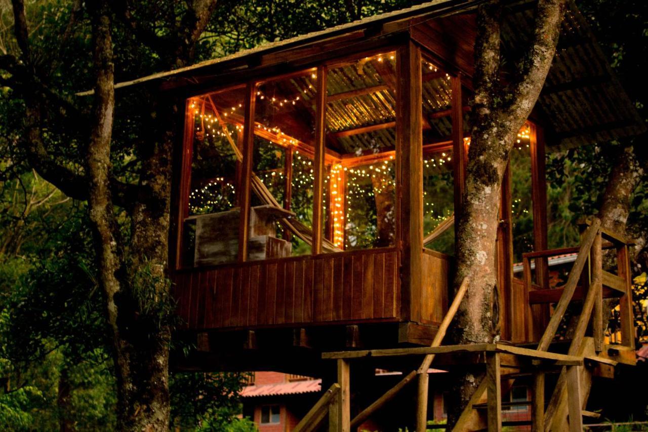 Hotel Mama Tungu 3*